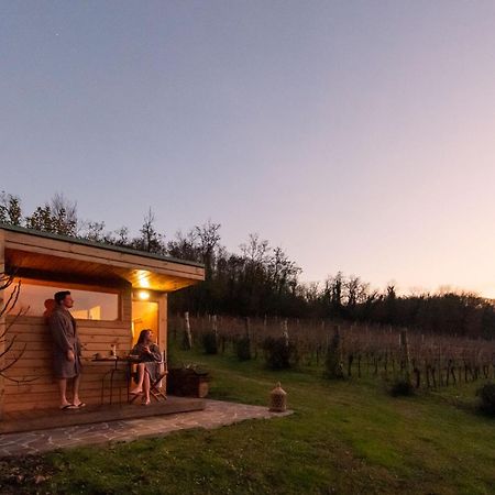 Agriturismo Terre Bianche Teolo Zewnętrze zdjęcie