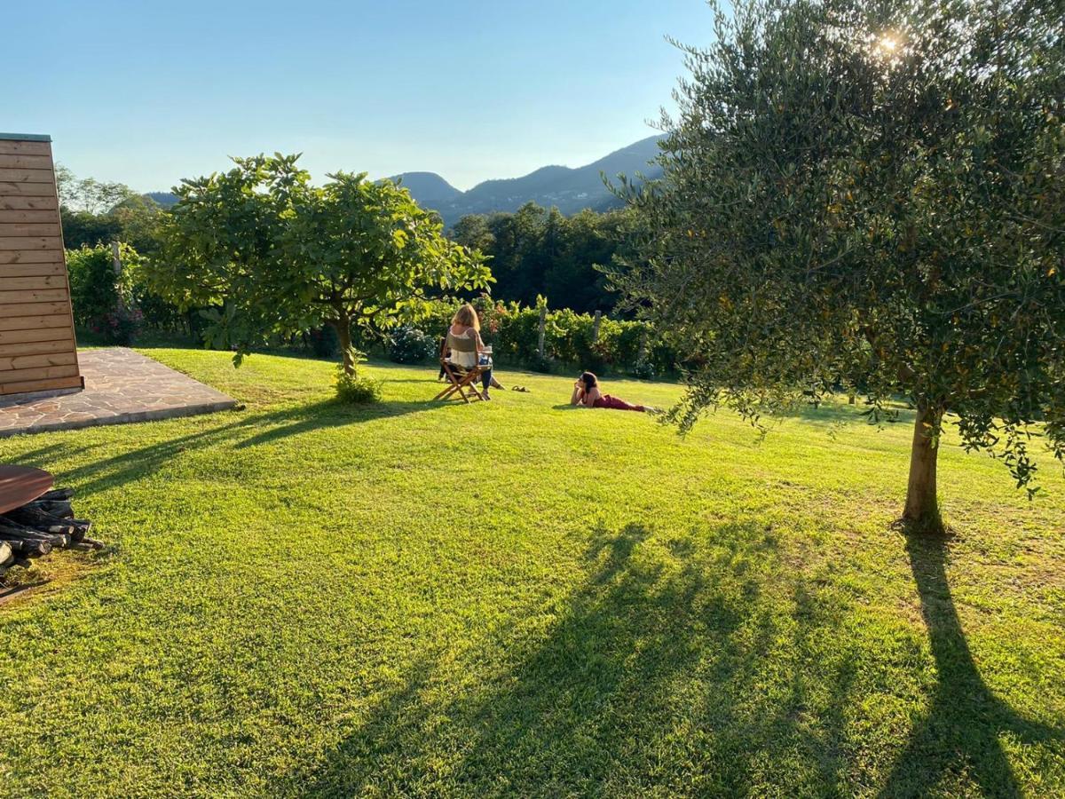 Agriturismo Terre Bianche Teolo Zewnętrze zdjęcie