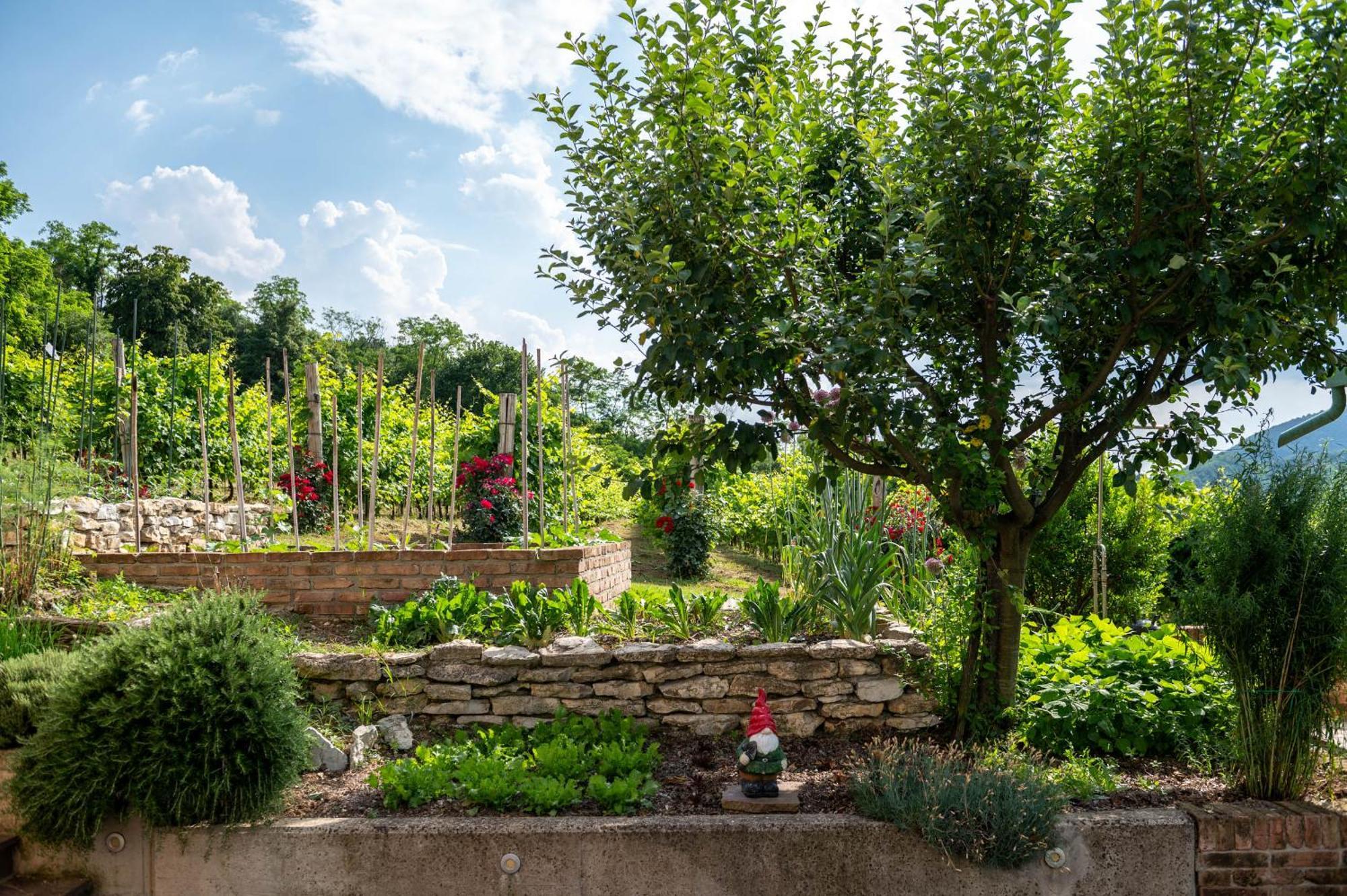 Agriturismo Terre Bianche Teolo Zewnętrze zdjęcie